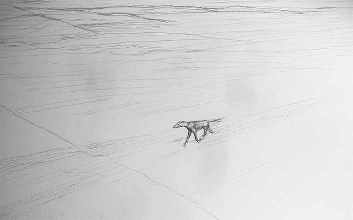 image of North Norththembira